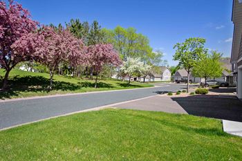 A street in a neighborhood with flowering trees